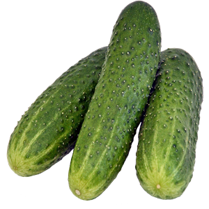 Cucumber PNG-12605